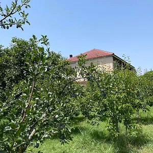 https://villa-mance.albaniahotels.org